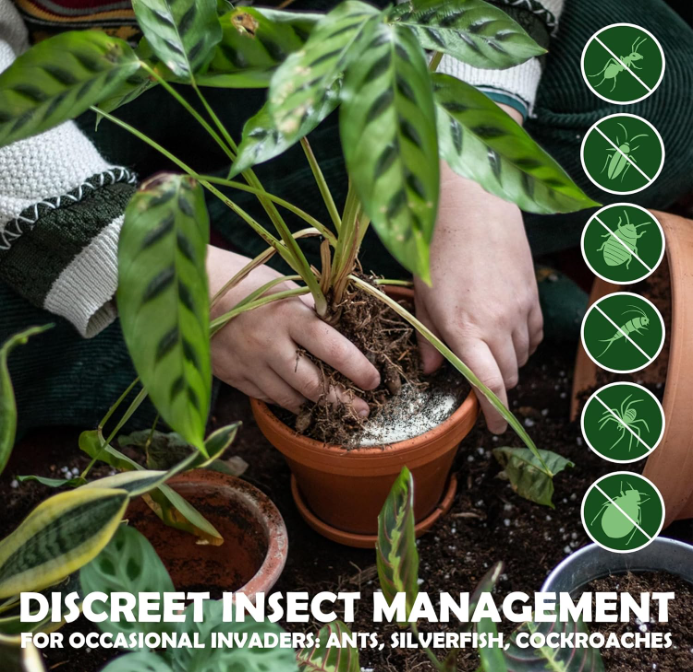 Sulguy Organic Diatomaceous Earth & Peppermint Powder | Natural Insect & Pest Control