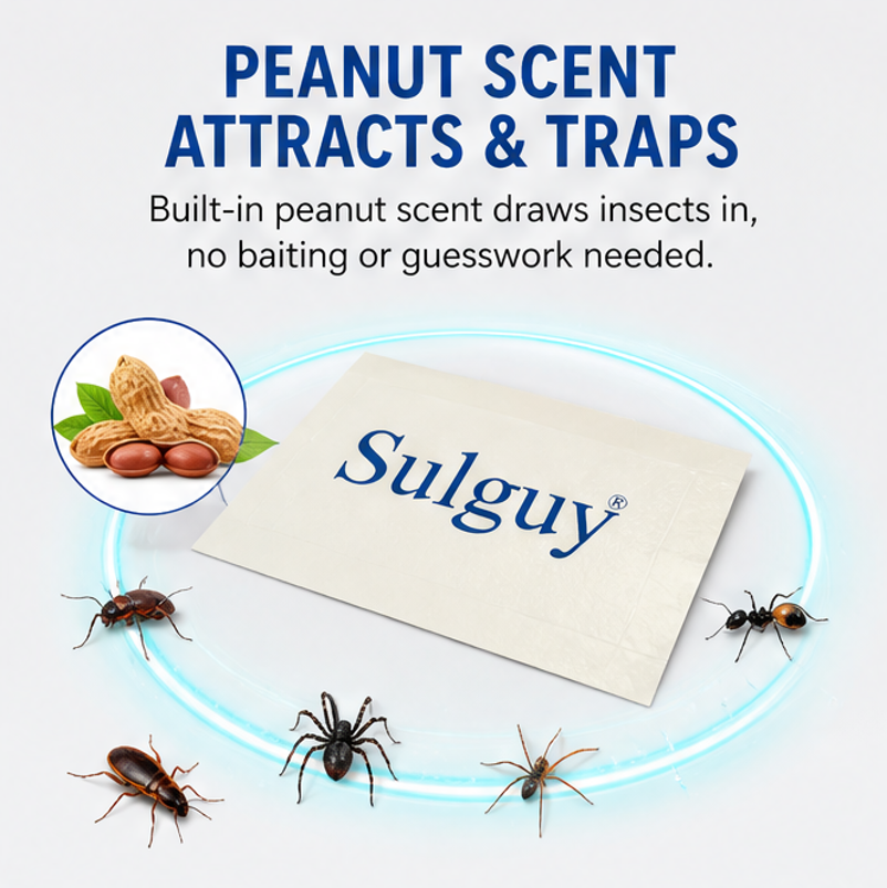 Sulguy Insect & Pest Glue Traps | Non-Toxic Sticky Boards for Bedbugs, Spiders & Cockroaches