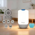Sulguy UV & Blue Light Mosquito Trap | Indoor Insect & Fruit Fly Killer - Sulguy