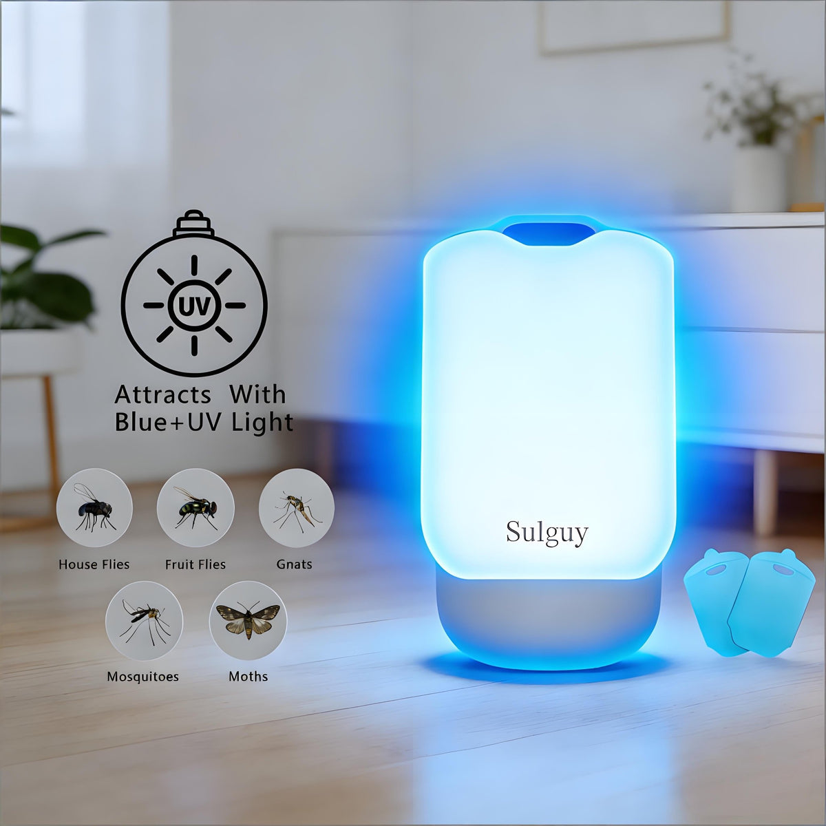 Sulguy UV & Blue Light Mosquito Trap | Indoor Insect & Fruit Fly Killer - Sulguy